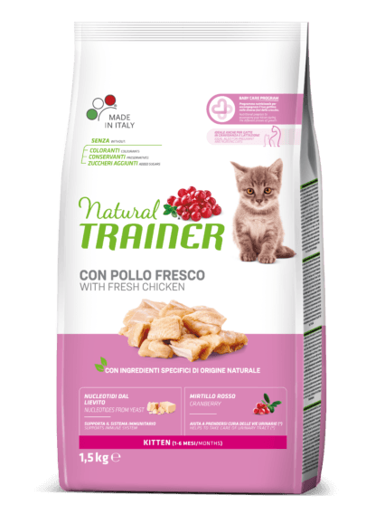 Natural Trainer cat Kitten Pollo