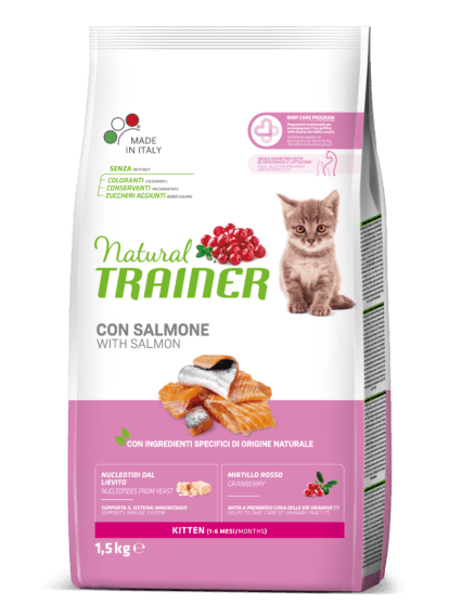 Natural Trainer cat Kitten Salmone