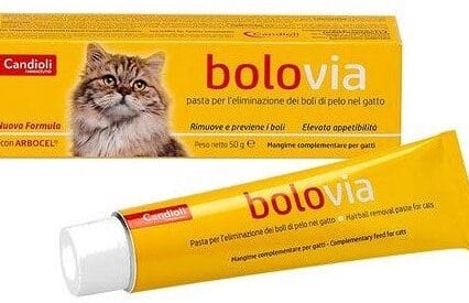 Bolo via Pasta 50 gr