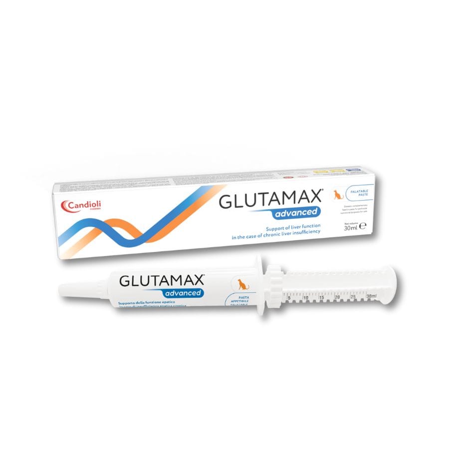 Glutamax Advanced pasta appetibile da 30 ml per Cani e Gatti;