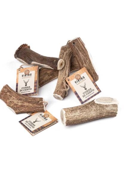 CORNA DI CERVO INTERE