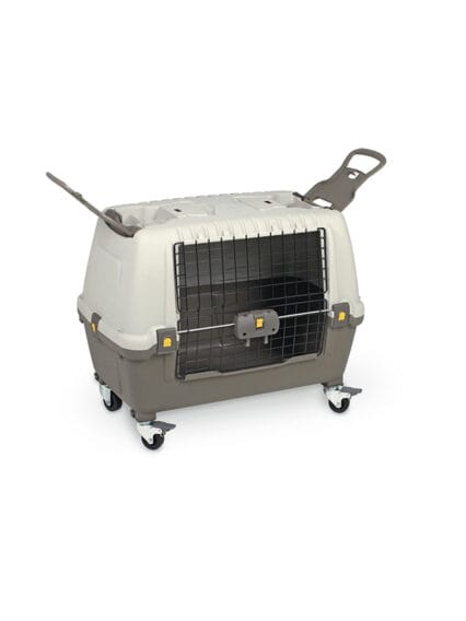 TRASPORTINO SKUDO CAR 100