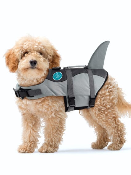 Giubbotto Galleggiante per cani con maniglia e pinna