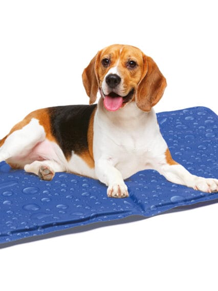 Tappetino Rinfrescante e Refrigerante per cani 65x50