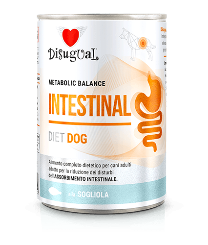 Disugual Metabolic Balance DOG INTESTINAL Sogliola 400gr